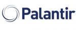 Palantir Economics logo
